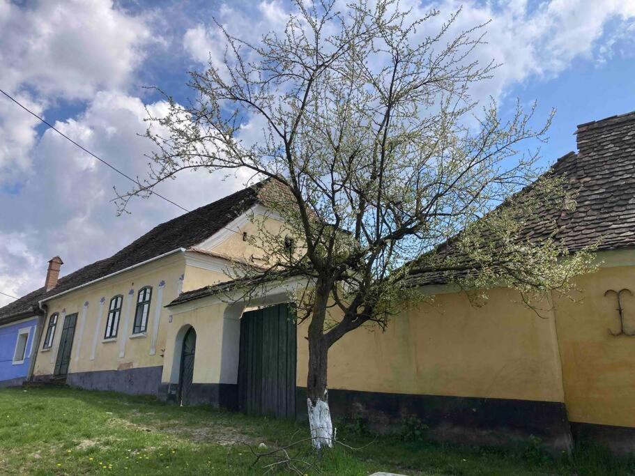 House By The Church - Entire House Crit Zewnętrze zdjęcie